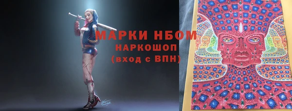 бошки Алексин