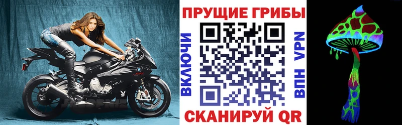 Псилоцибиновые грибы мицелий  Нижняя Салда 